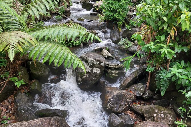 Puerto Rico: El Yunque Sightseeing Half-Day Tour w/Transfer - Baño Grande offers scenery, not swimming