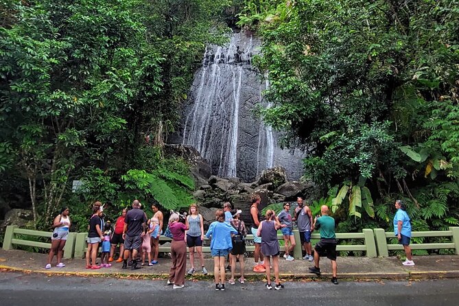 Puerto Rico: El Yunque Sightseeing Half-Day Tour w/Transfer - La Coca Waterfall is short, scenic, and easy to reach