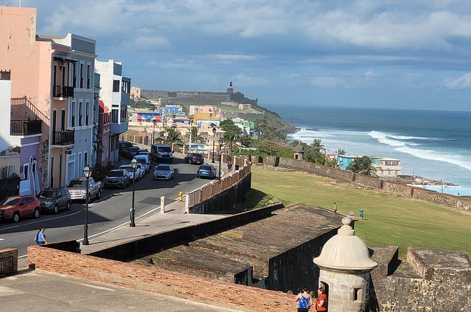 Puerto Rico Guided Tour from Old San Juan to Loïza - Santurce and Cerra Street’s public art