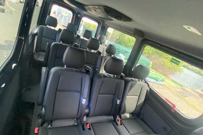 Puerto Rico Island Wide Private Transfers, 11Pax Lux Sprinter Van - Drivers who add useful local help