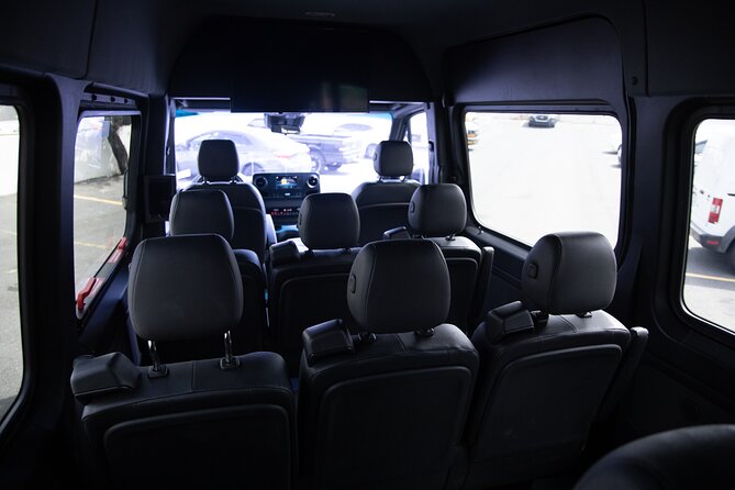 Puerto Rico Island Wide Private Transfers, 14Pax Lux Sprinter Van - Cruise-port pickups and pre-flight time