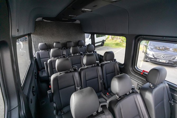 Puerto Rico Island Wide Private Transfers, 14Pax Lux Sprinter Van - Meeting your driver at San Juan Airport