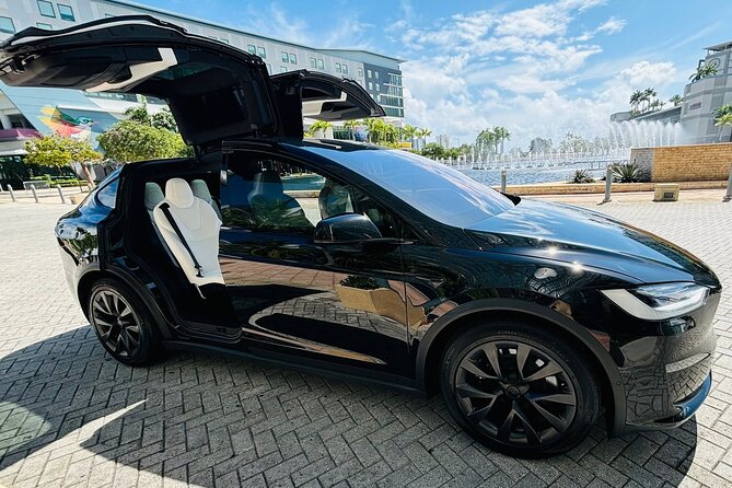 Puerto Rico Island Wide Transfer, Tesla Model X Luxury SUV. - Child seats, service animals, and group comfort