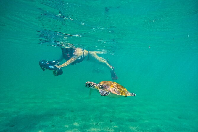 Puerto Rico Jet Snorkel with Turtles and Videos in San Juan - What the jet snorkel experience is really like