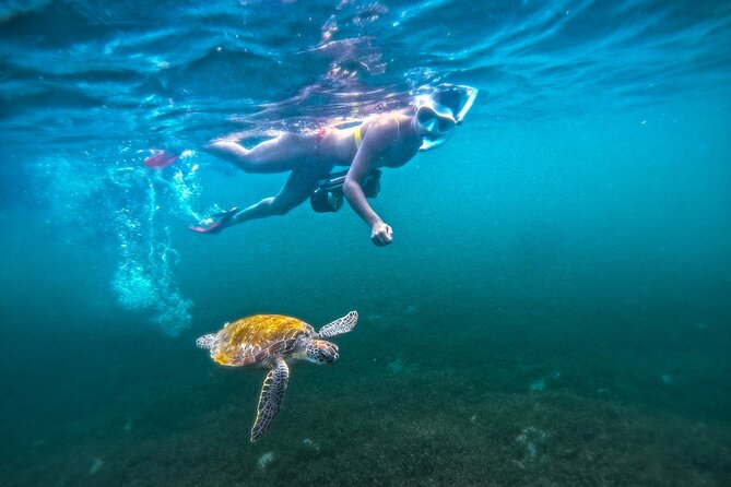 Puerto Rico Jet Snorkel with Turtles and Videos in San Juan - Safety briefing and equipment fitting
