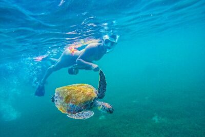 Puerto Rico Jet Snorkel with Turtles and Videos in San Juan