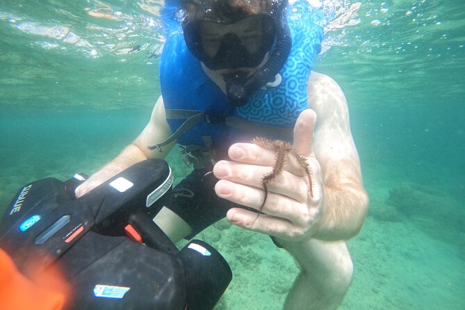 Puerto Rico Jet Snorkel with Turtles and Videos in San Juan - The turtle bay and marine life