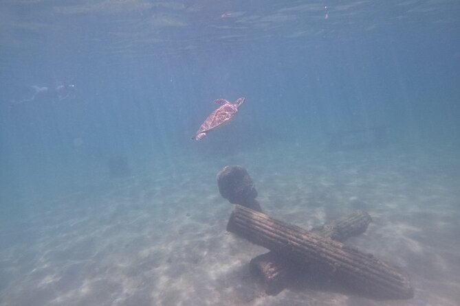 Puerto Rico Jet Snorkel with Turtles and Videos in San Juan - How the water conditions can change your morning