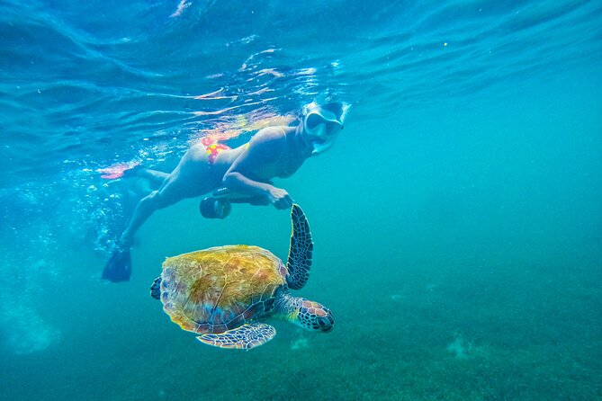 Puerto Rico Jet Snorkel with Turtles and Videos in San Juan - Meeting at Balneario El Escambron