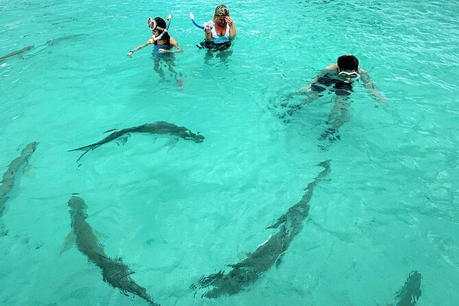Puerto Rico's Only Private, VIP & Filmed Bio Bay Swim Experience - The filming adds real value