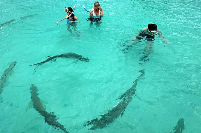 Puerto Rico's Only Private, VIP & Filmed Bio Bay Swim Experience - Who will enjoy this private experience most?