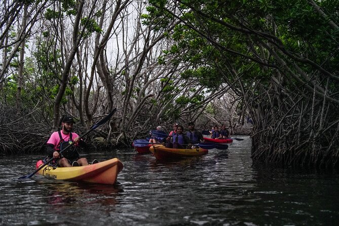 Puerto Rico Sunset Magic: Bio Bay Kayaking Tour from Fajardo - From Kayak Village into the mangroves