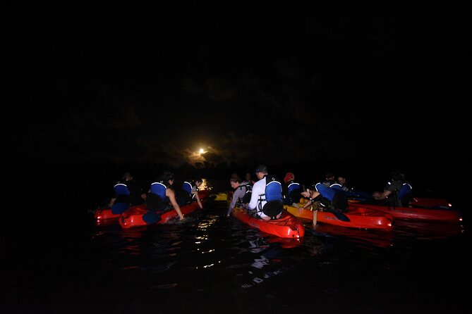 Puerto Rico Sunset Magic: Bio Bay Kayaking Tour from Fajardo - How the tarp helps with light pollution