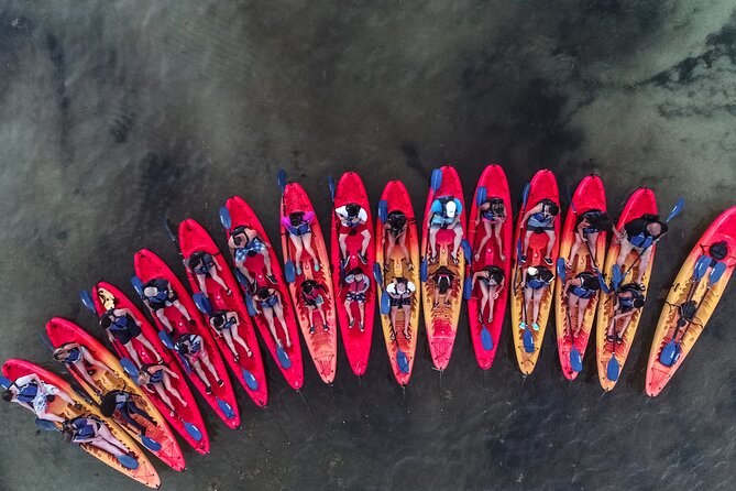 Puerto Rico Sunset Magic: Bio Bay Kayaking Tour from Fajardo - The glow is never guaranteed