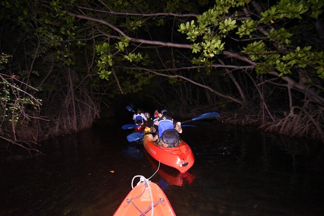 Puerto Rico Sunset Magic: Bio Bay Kayaking Tour from Fajardo - Group size, traffic, and nighttime paddling
