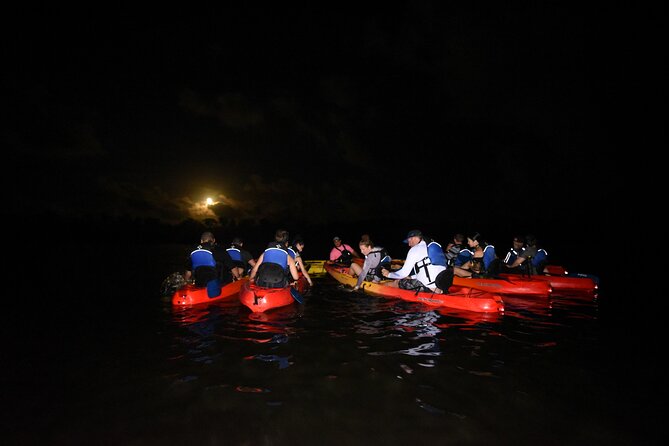 Puerto Rico Sunset Magic: Bio Bay Kayaking Tour from Fajardo - Reaching Laguna Grande after sunset