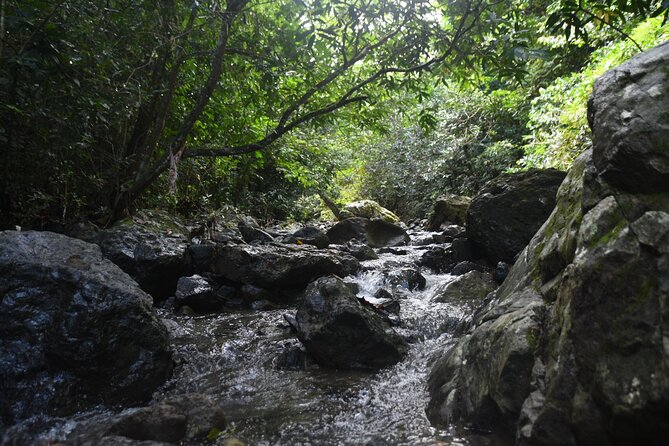 Puerto Rico Waterfall Hiking Tour: Discover Hidden Gems 2.0 - From San Juan to the Mountain Countryside