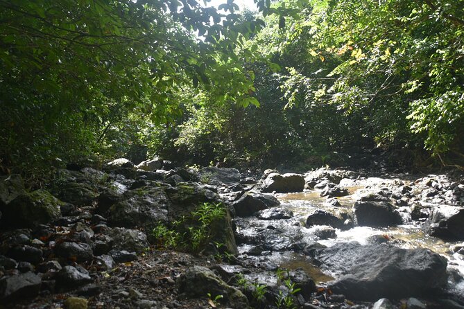 Puerto Rico Waterfall Hiking Tour: Discover Hidden Gems 2.0 - Lunch at a Local Restaurant
