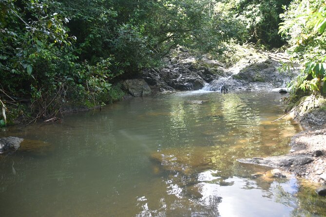 Puerto Rico Waterfall Hiking Tour: Discover Hidden Gems 2.0 - Guides Who Shape the Day