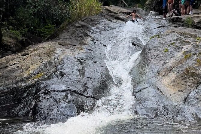Rainforest Adventure All inclusive Food and Fotos - Timing, weather, and cancellation