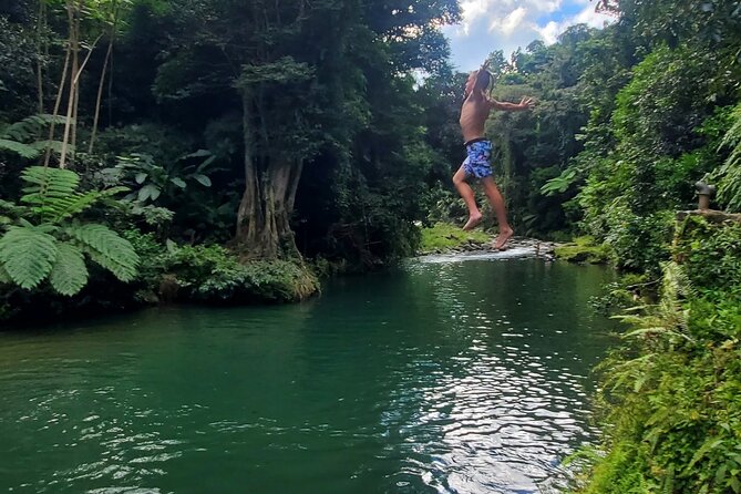 Rainforest and Junglequi Zipline Combo Tour - Who will get the most from this day