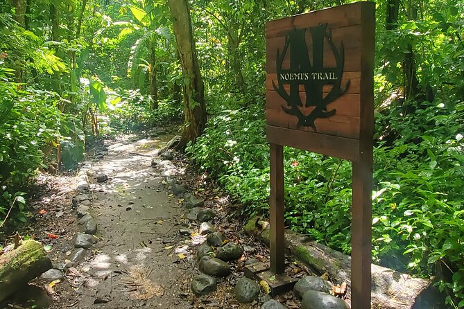 Rainforest and Junglequi Zipline Combo Tour - Weather, cancellation, and simple planning tips