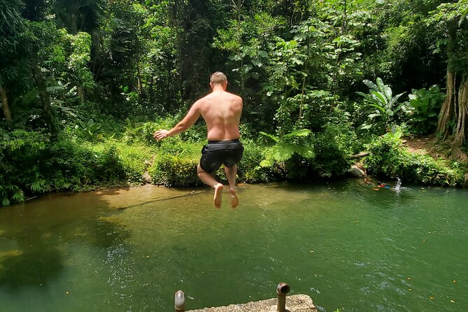 Rainforest and Junglequi Zipline Combo Tour - Nine zip lines above the Puerto Rico forest