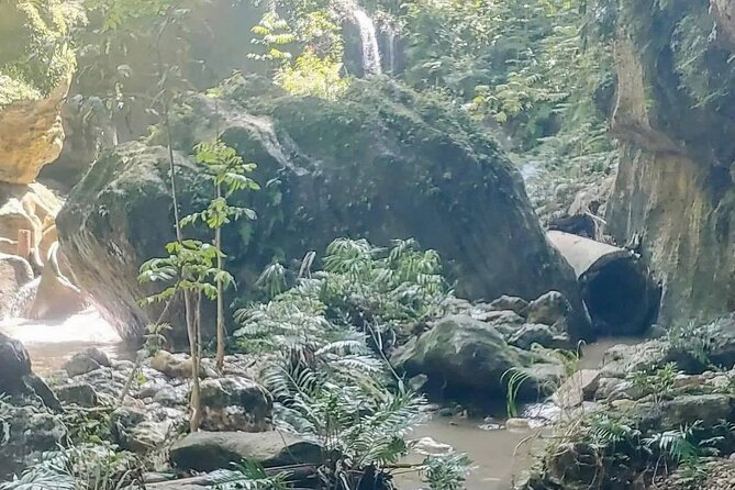 Rainforest Caves and Waterfalls Exploration with Transportation - Petroglyphs and the local sense of place