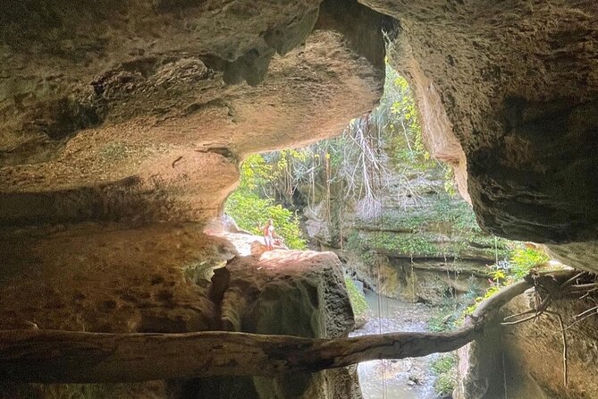 Rainforest Caves and Waterfalls Exploration with Transportation - Is $110 a fair price?
