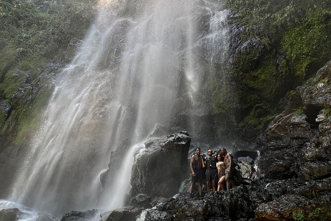 Rainforest Hike to Hidden Waterfall in Puerto Rico with Transport - Key points before you book