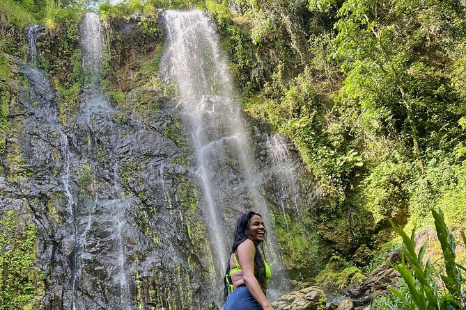 Rainforest Hike to Hidden Waterfall in Puerto Rico with Transport - A rainforest outing with some real trail work
