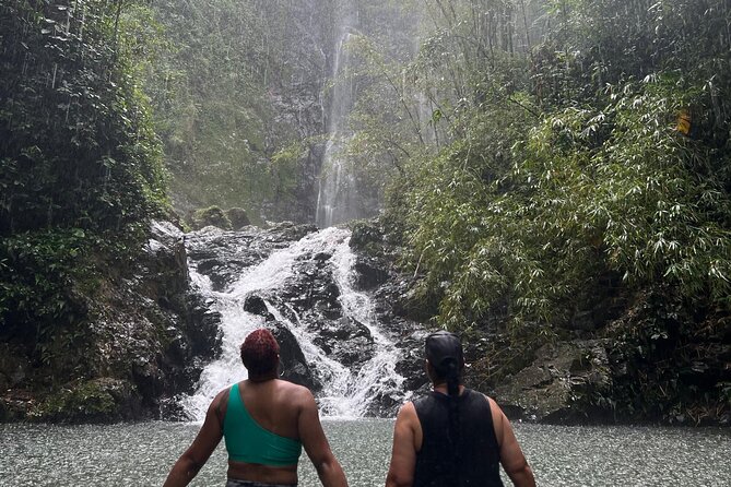 Rainforest Hike to Hidden Waterfall in Puerto Rico with Transport - Is $99 a fair price?