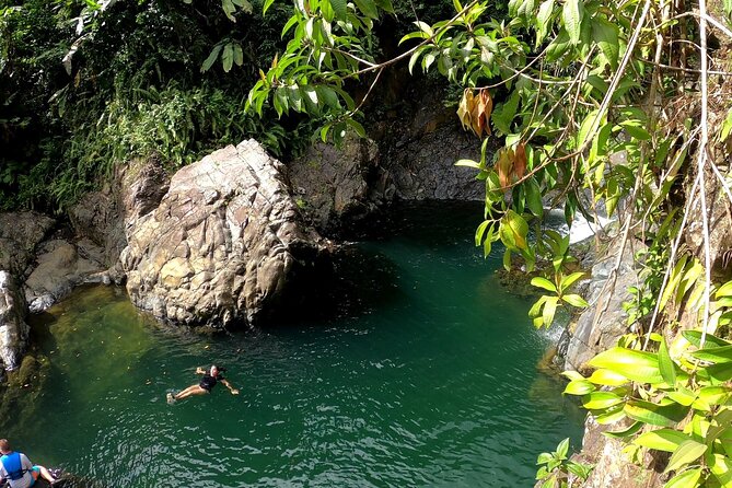 Rainforest Nature Walk & Luquillo Beach Combo - Key points to know before booking