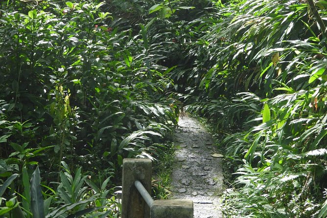 Rainforest Nature Walk & Luquillo Beach Combo - Leaving San Juan and settling into the van