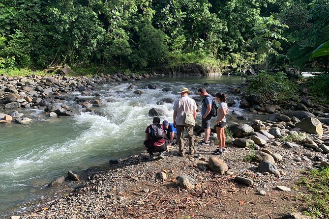 Rainforest Nature Walk & Luquillo Beach Combo - Swimming in the river, with safety in mind