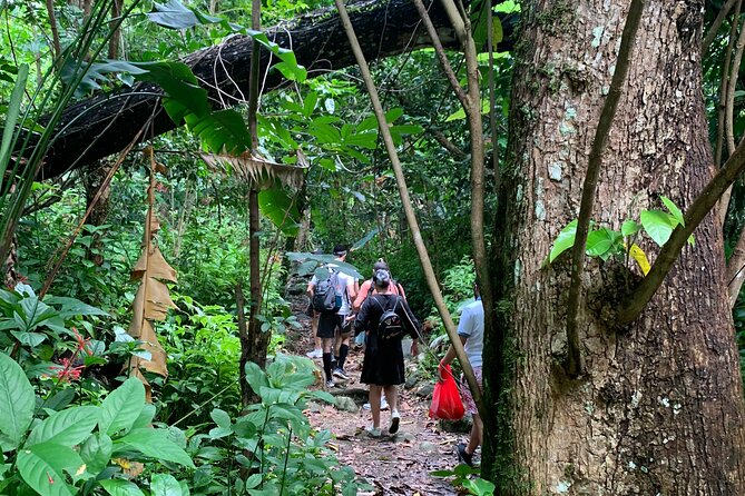 Rainforest Nature Walk & Luquillo Beach Combo - Two hours at Luquillo Beach and the kiosks