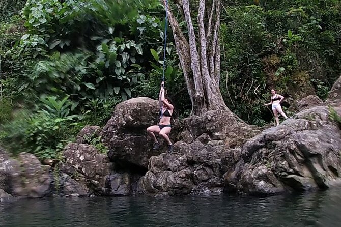 Rainforest River Hike and Waterfalls Adventure - Entering El Yunque’s Wet Forest