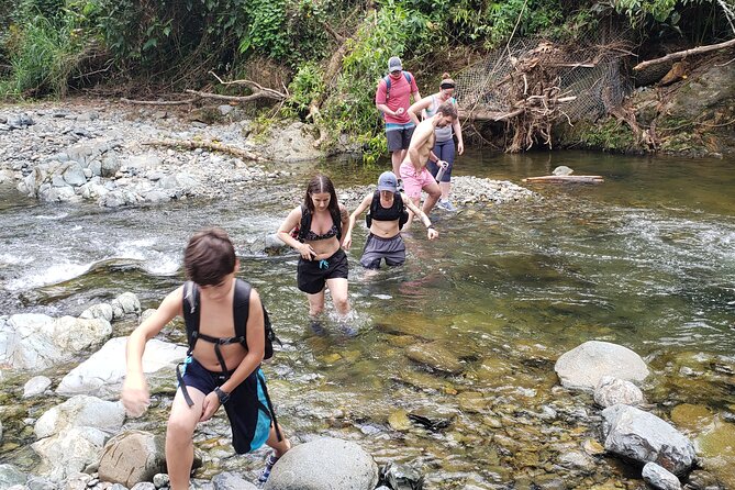 Rainforest River Hike and Waterfalls Adventure - Is $80 a Good Value?