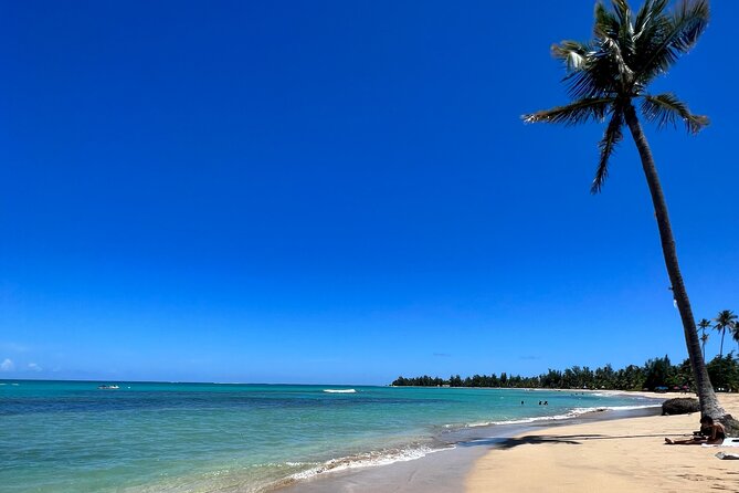Rainforest Waterfall Slides/Adult Drinks included/ Beach - Key points at a glance