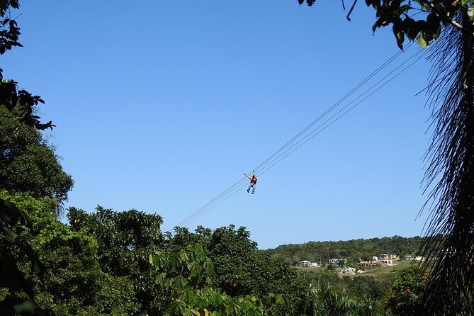 Rainforest Zipline in Foothills of the National Rainforest - Lines seven and eight provide the biggest rush