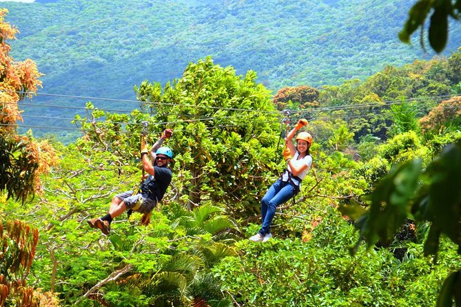 Rainforest Zipline in Foothills of the National Rainforest - Is $111.80 a fair price?