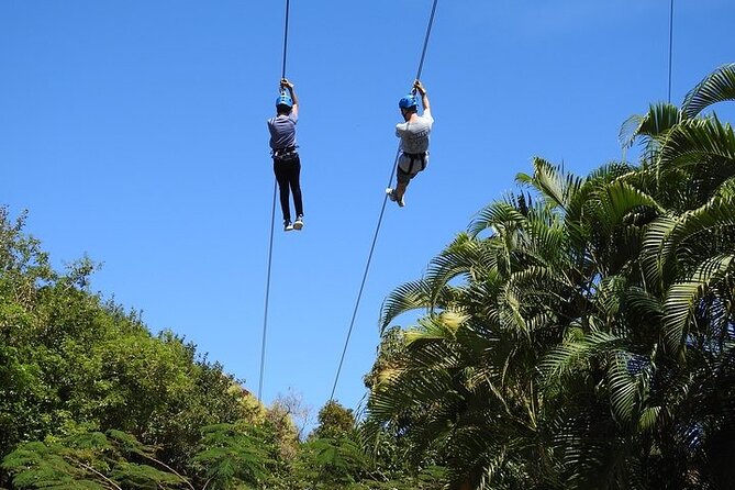 Rainforest Zipline in Foothills of the National Rainforest - Who should book this Rio Grande zipline?