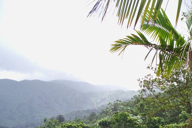 Rainforest Zipline, Luquillo Beach, and Natural Springs Day Trip - The drive is part of the tour, for better or worse