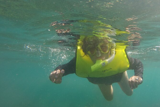 Rincon Snorkeling Adventure - Who should book this outing?