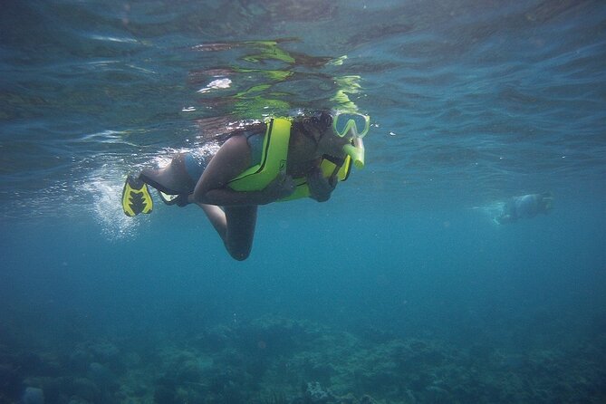 Rincon Snorkeling Adventure - Practical tips for a smoother visit