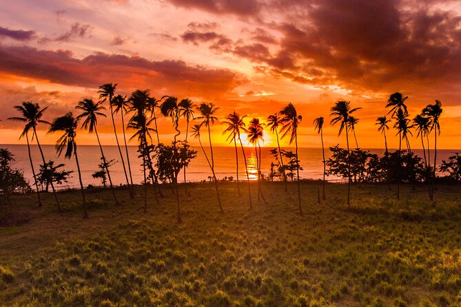 Rincon Tour Sunset & Nightlife Experience - What makes this Rincón evening worth considering
