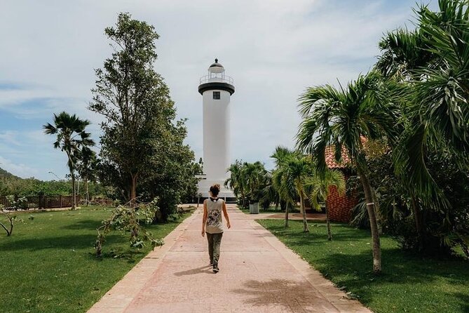 Rincon Tour Sunset & Nightlife Experience - My call: book it for a first evening in Rincón