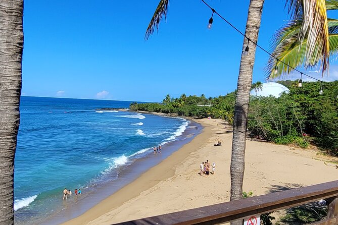 Rincon Tour Sunset & Nightlife Experience - Rincón Art Walk and the freedom to choose your night