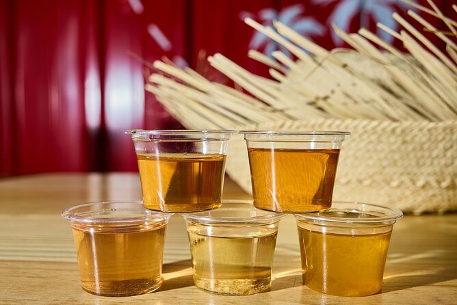 Rum Tasting: History, Tradition, Burgers and Mojitos! - Five Shots, One Mojito, and a Full Burger