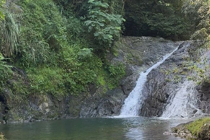 Salto de Pilar Cliff Jumping Tour - Why Salto de Pilar feels different from a standard San Juan outing
